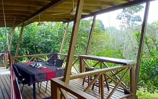 House with a Guest House overlooking the Lake