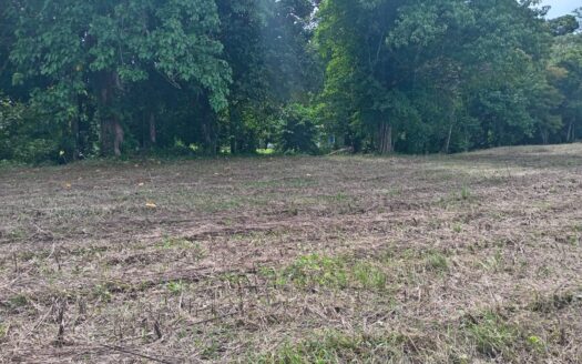 Perfect land for the development of a resort of your dreams