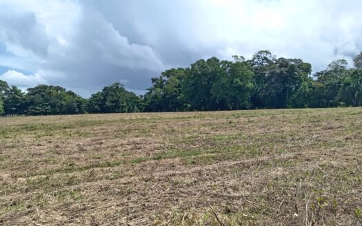 Perfect land for the development of a resort of your dreams