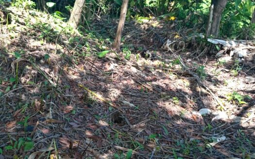 #1 Lot in the Coastal Zone, Steps Away from the Future Airport