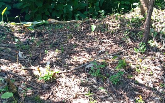 #1 Lot in the Coastal Zone, Steps Away from the Future Airport