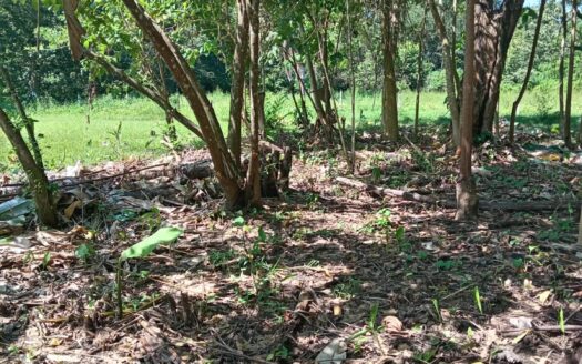#2 Lot in the Coastal Zone, Steps Away from the Future Airport