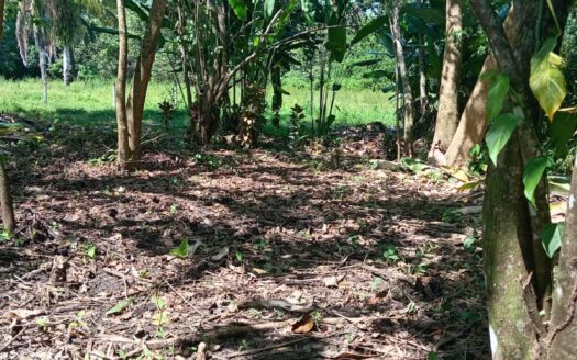 #3 Lot in the Coastal Zone, Steps Away from the Future Airport