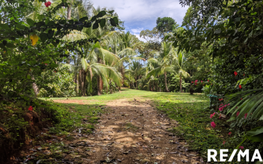 Private Jungle Pilon Home with Incredible Oceanview on 6+ Private Acres