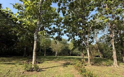 Beautiful Titled Flat Lot Close to "Rio Higuito", Walking Distance to Saw Mills Beach