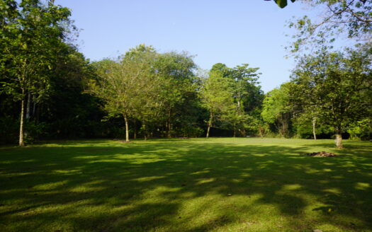 Beautiful Titled Flat Lot Close to "Rio Higuito", Walking Distance to Saw Mills Beach