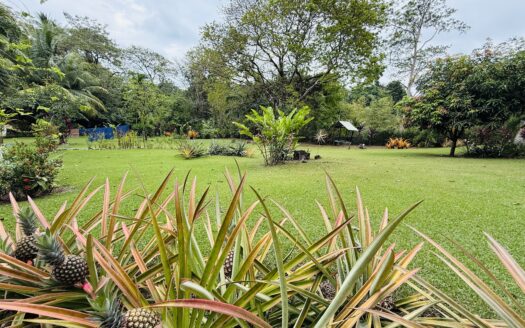 Home and property with the ultimate location steps away from the "Rio Claro" river and "the Point" surf spot