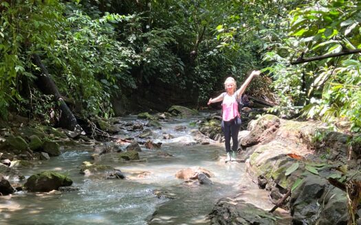Large Oceanview Ranch for Sale in Pavones, Costa Rica – 5 minutes to Pilon Surf