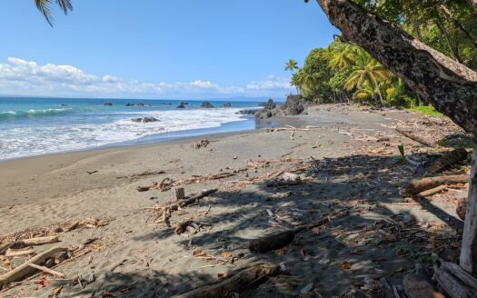 Oceanfront Maritime Lot for Sale in Pavones, Costa Rica – Steps to the Beach🌴