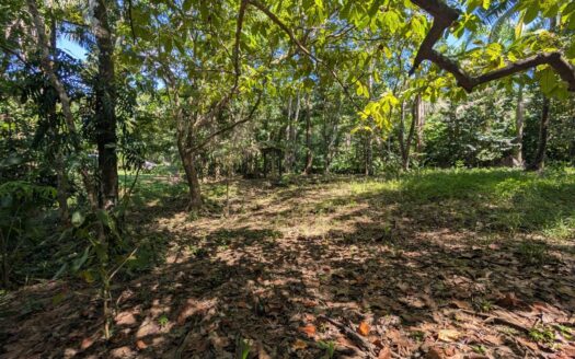 Oceanfront Maritime Lot for Sale in Pavones, Costa Rica – Steps to the Beach🌴