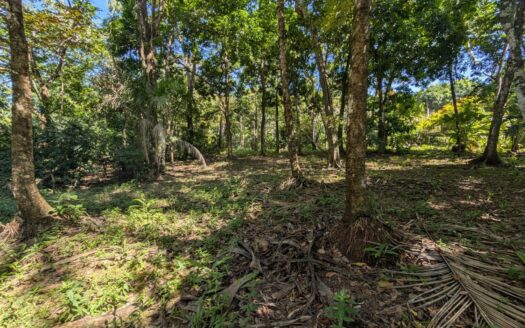 Oceanfront Maritime Lot for Sale in Pavones, Costa Rica – Steps to the Beach🌴