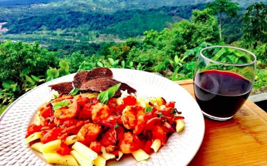 Hotel, Restaurant and 10+ Hectares for Sale | Ciudad Neily, Costa Rica