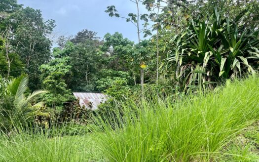 Terraced Lot in La Hierba – 300 Meters from the Beach with Stunning Mountain Views