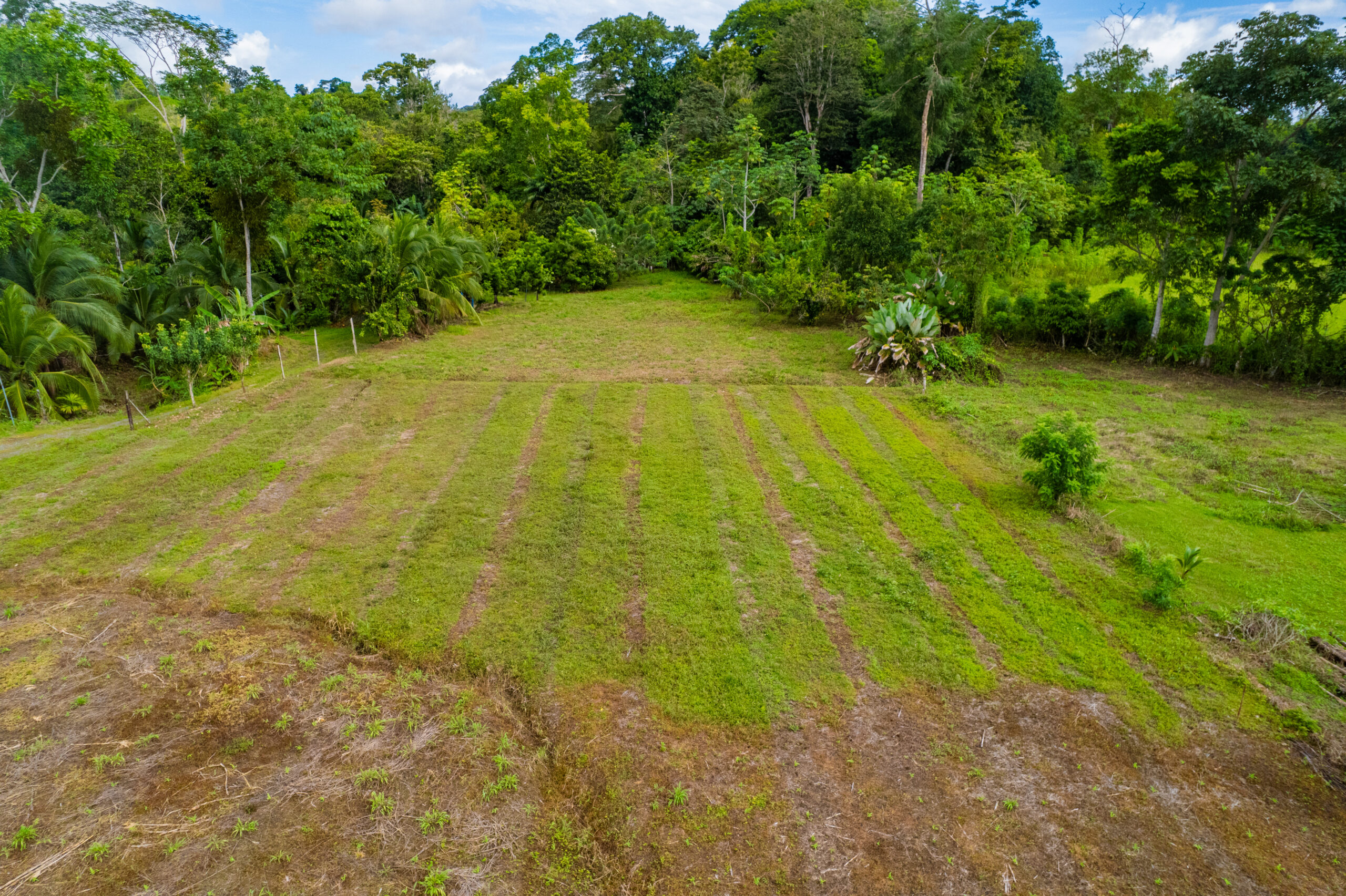 Titled Lot in Peaceful Palo Seco Community near Puerto Jiménez