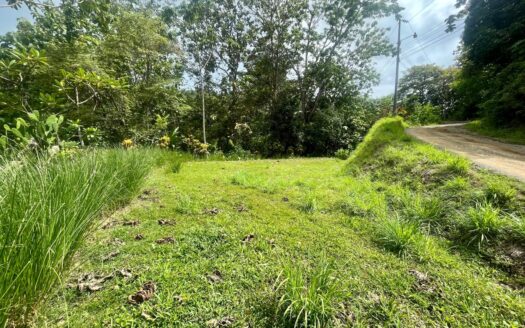 Terraced Lot in La Hierba – 300 Meters from the Beach with Stunning Mountain Views