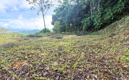 1 Hectare (2.47 acres) Oceanview Jungle Property in La Hierba, Costa Rica
