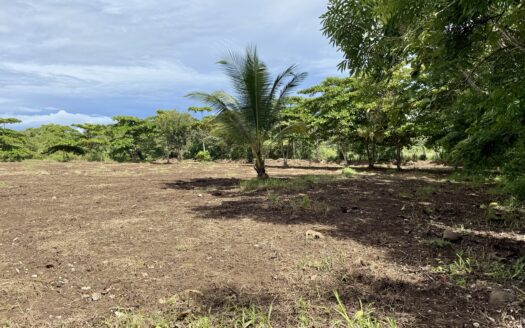 Rare +10,000 m² Commercial Lot in Pavones – High Visibility Near Surf, Shops & Paved Road