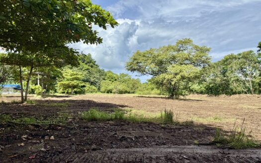 Rare +10,000 m² Commercial Lot in Pavones – High Visibility Near Surf, Shops & Paved Road