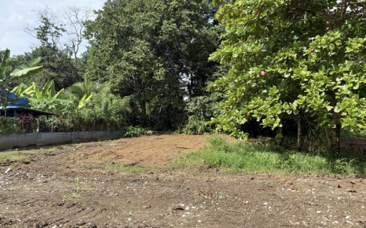 Titled Property for Sale in Pavones – Prime Location Near Pilon & Amenities