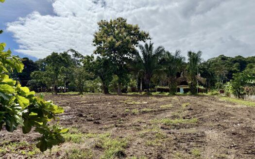 Titled 1,000 m² Lot for Sale in Pavones, Costa Rica – Prime Surfside Location