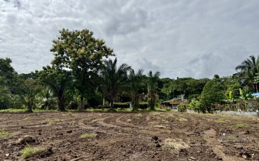 Titled 1,000 m² Lot for Sale in Pavones, Costa Rica – Prime Surfside Location