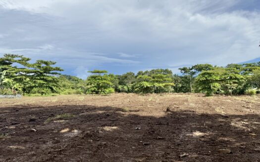 Titled Property for Sale in Pavones – Prime Location Near Pilon & Amenities