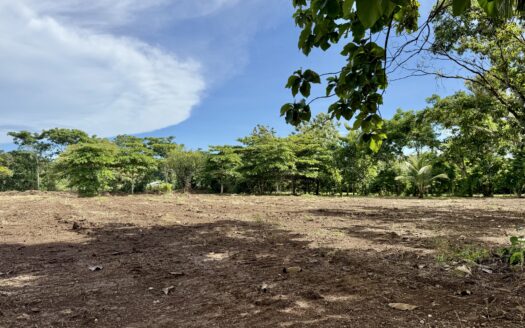 Prime 5,002 m² Lot with Commercial Potential in Pavones – Walk to Surf & Services