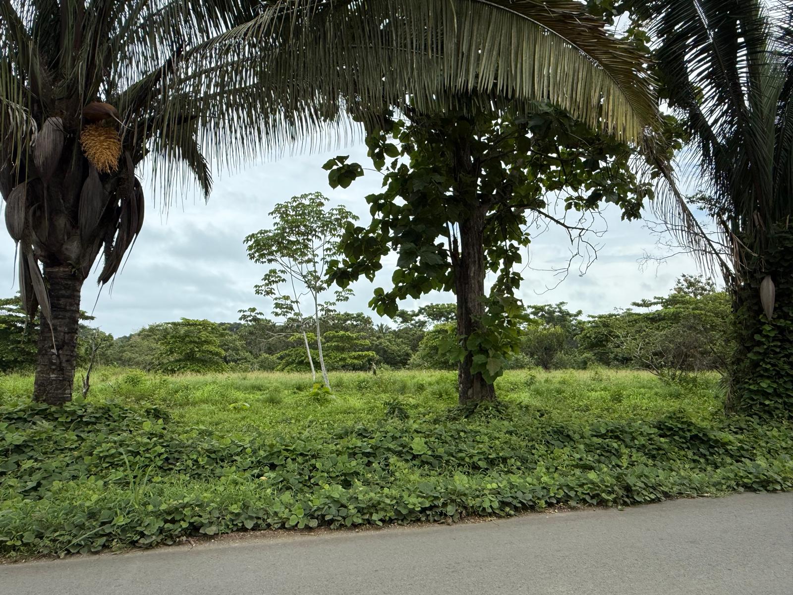 Remax real estate, Costa Rica, Puntarenas, Titled Property for Sale in Pavones – Prime Location Near Pilon &amp; Amenities