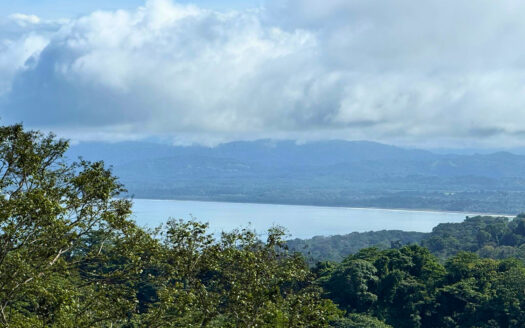 1 Hectare (2.47 acres) Oceanview Jungle Property in La Hierba, Costa Rica