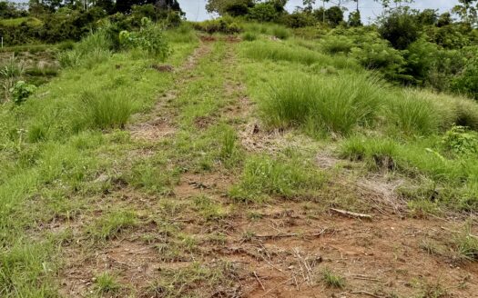 Ocean View Property in Cuervito, Pavones – 5014 sqm with Abundant Water and Electric Access