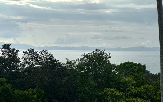 Jungle Sanctuary Near the Surf – 14 Acres in Pilón, Costa Rica