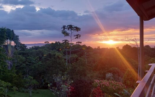 Unique Ocean-View Eco Home for Sale in Southern Costa Rica – Jungle Paradise with Income Potential🌴