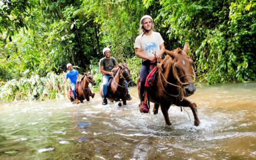 Drake Bay Eco-Lodge Property for Sale – The Jungle Getaway