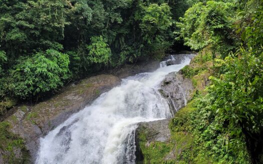 Drake Bay Eco-Lodge Property for Sale – The Jungle Getaway