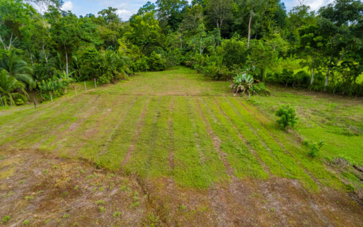 Land for Sale Palo Seco Puerto Jimenez Costa Rica | 6,557 m² Titled Lot