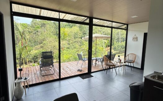 Costa Rica Jungle View Home with Pool & Guest Apartment – Price Reduced to $239,000 in Puerto Jiménez
