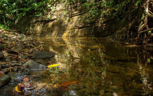 Pilón Surf Escape: Home 5 minutes from the Break. Only $80K