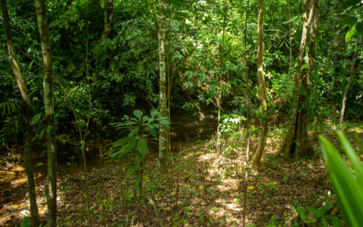 Pilón Surf Escape: Home 5 minutes from the Break. Only $80K