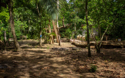 Pilón Surf Escape: Home 5 minutes from the Break. Only $80K