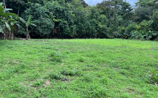 Beachside Opportunity: Prime Land for Sale Near La Piña Beach with Endless Building Potential