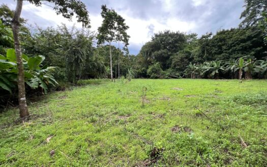 Beachside Opportunity: Prime Land for Sale Near La Piña Beach with Endless Building Potential
