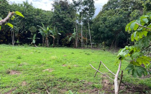 Beachside Opportunity: Prime Land for Sale Near La Piña Beach with Endless Building Potential