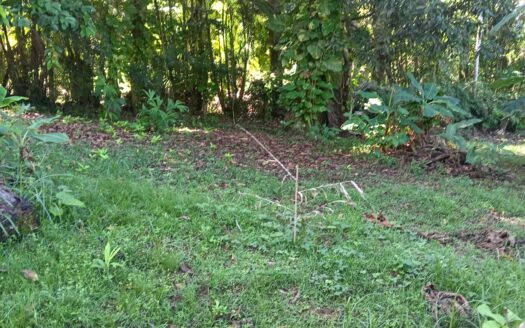 La Piña – Best Ocean View, 5 Minutes from Pavones Wave