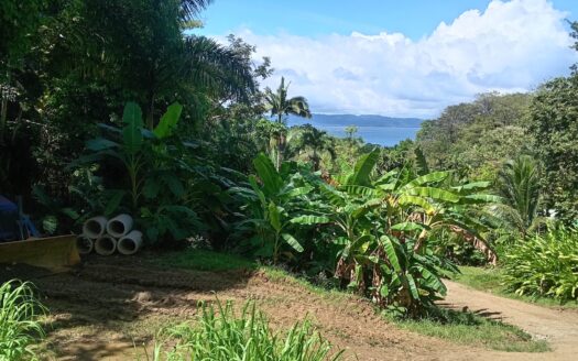 La Piña – Best Ocean View, 5 Minutes from Pavones Wave