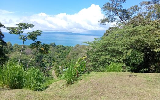 La Piña – Best Ocean View, 5 Minutes from Pavones Wave