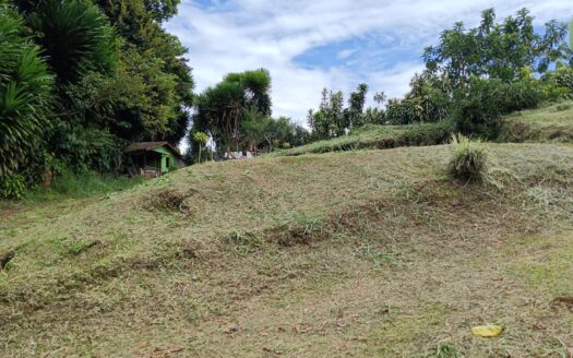 Fresh Climate Mountain Lot in San Vito, Costa Rica