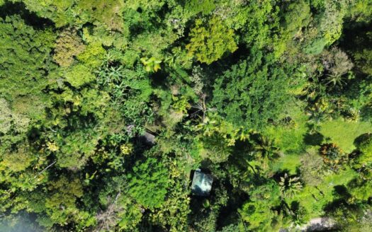 17-Hectare Property with House in Linda Vista, San Vito