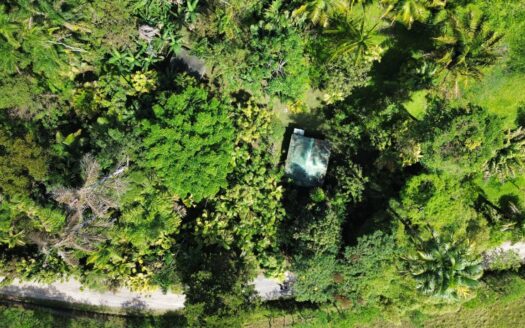 17-Hectare Property with House in Linda Vista, San Vito