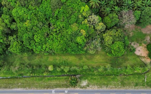 Strategic Investment: 8,400 m² Prime Commercial Land on the Inter-American Highway