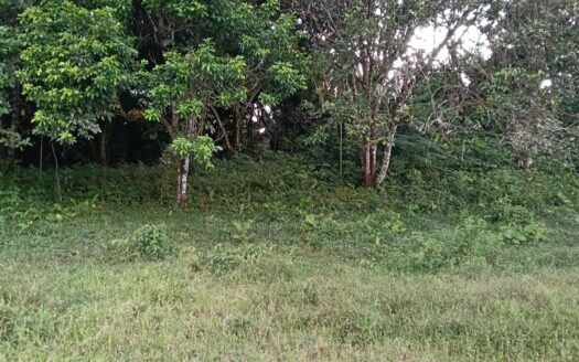 Strategic Investment: 8,400 m² Prime Commercial Land on the Inter-American Highway